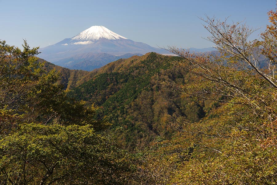 鍋割登山道からの富士