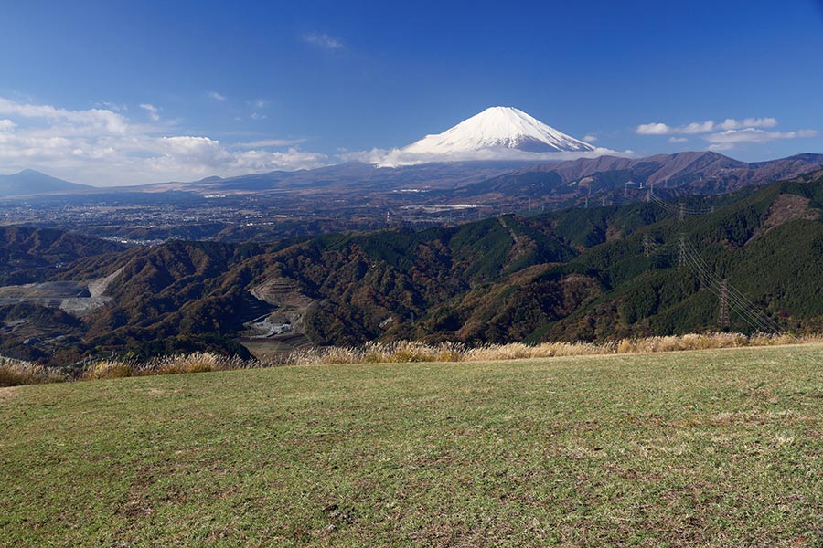 大野山からの富士
