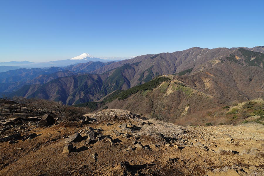 丹沢表尾根と富士山