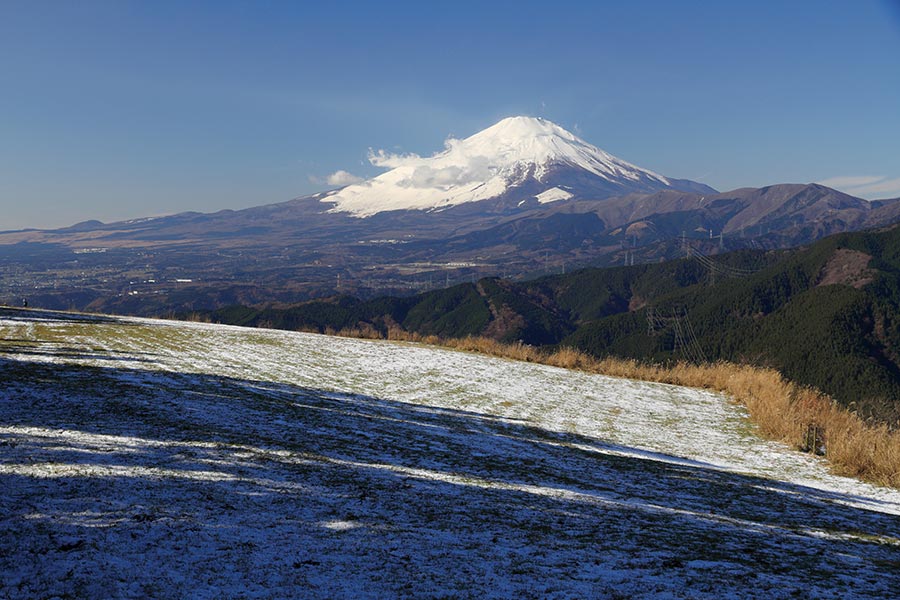 大野山からの富士