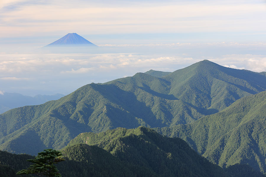 甲武信岳からの富士