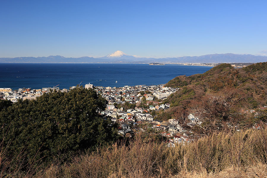 三浦アルプス・仙元山からの富士山